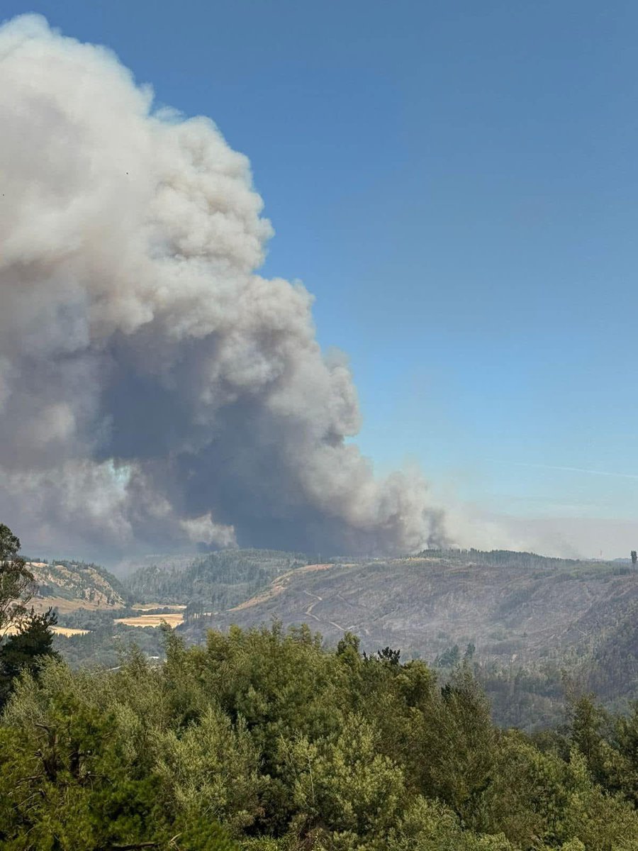 ATM (@pulofmapuxawvn) on Twitter photo A esta hora, arde Ercilla y otras comunas en Wallmapu
Ciudades y comunidades mapuches asfixiadas por plantación forestal de pino y eucalipto, ahora bajo fuego y humo en medio y evacuación de la población por la emergencia.
<a href="/PiensaPrensa/">PIENSAPRENSA 355 mil Seguidores</a> <a href="/Chileokulto/">Chileokulto</a> <a href="/RoyoManuela/">Manuela Royo Letelier | Vocera nacional @modatima_</a> <a href="/RadioKurruf/">Radio Kurruf</a> A esta hora, arde Ercilla y otras comunas en Wallmapu
Ciudades y comunidades mapuches asfixiadas por plantación forestal de pino y eucalipto, ahora bajo fuego y humo en medio y evacuación de la población por la emergencia.
<a href="/PiensaPrensa/">PIENSAPRENSA 355 mil Seguidores</a> <a href="/Chileokulto/">Chileokulto</a> <a href="/RoyoManuela/">Manuela Royo Letelier | Vocera nacional @modatima_</a> <a href="/RadioKurruf/">Radio Kurruf</a>