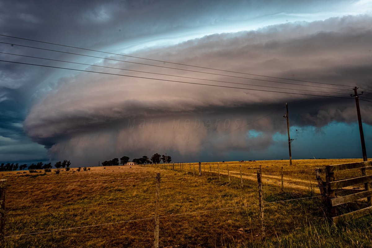 Mati Mederos tweet media