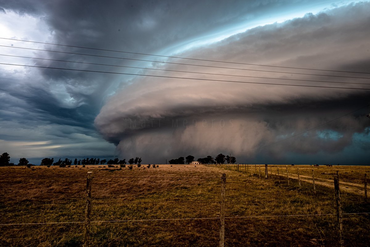 Mati Mederos tweet media