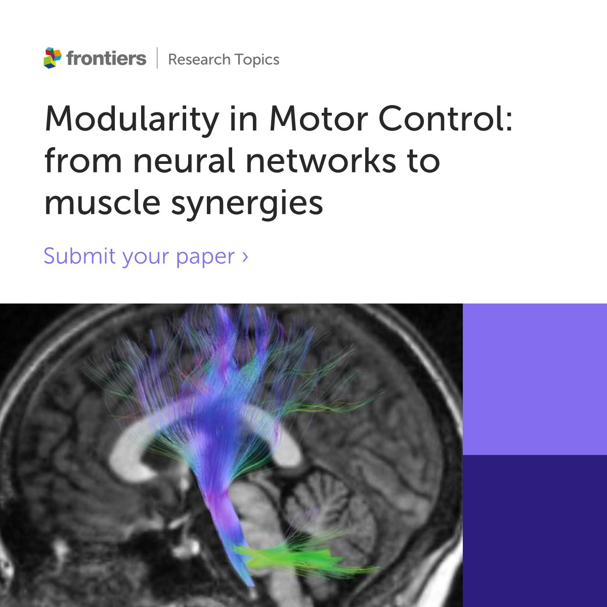 📌 Paper submissions are open for our new research topic: "Modularity in #Motorontrol: from #NeuralNetworks to #MuscleSynergies".  

🗓️ The deadline for submissions is September 30, 2025. 

🔗frontiersin.org/research-topic… to submit!