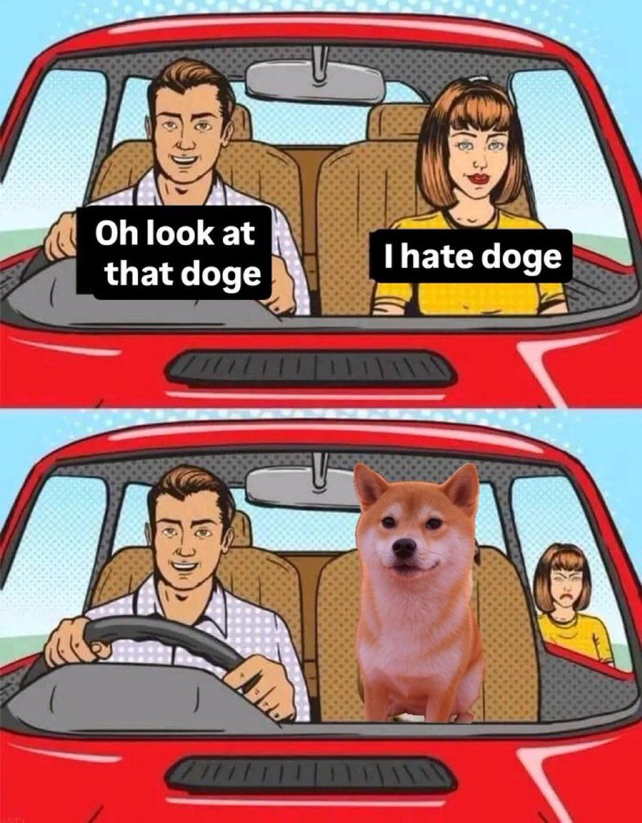 𝕏cellent 🛹 tweet media