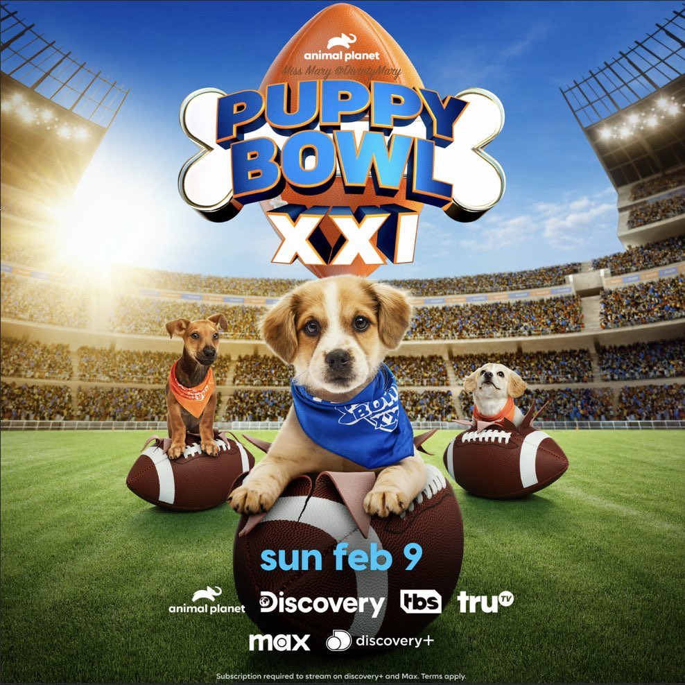 WORKCOMPCARE's tweet image. Team Ruff or Team Fluff, Who was your MVP?