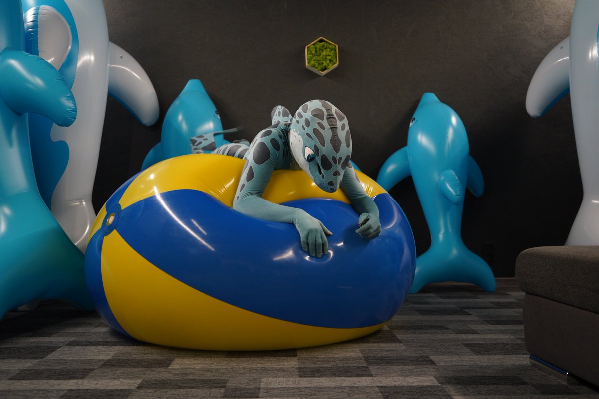 milvusbuteo's tweet image. *Rolls around* Some photos with the plasticised BB.