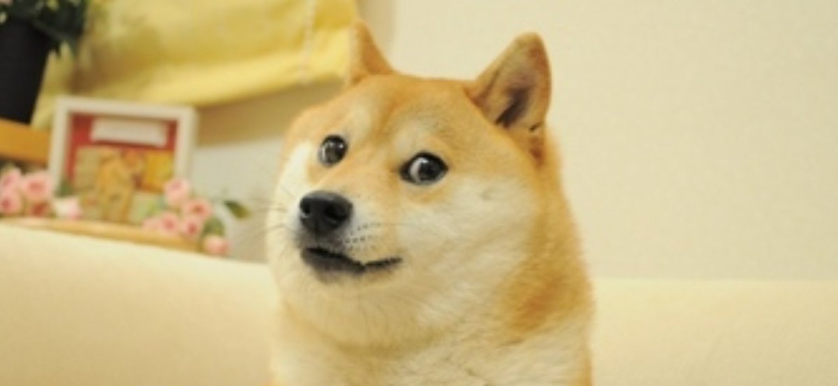 RichardStiller4's tweet photo. Given the last 20 days, should we not update the DOGE mascot?

I vote for Dexter!   😃🥲 https://t.co/u0ojJkpbju