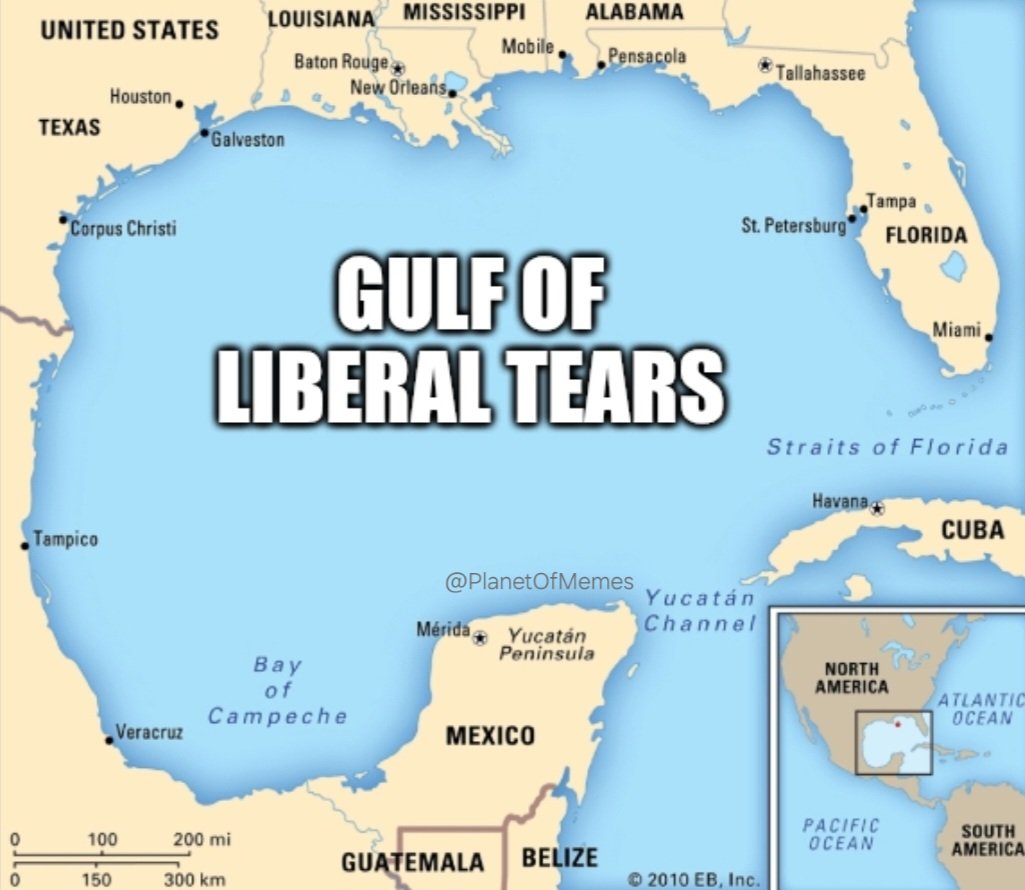 Planet Of Memes tweet media