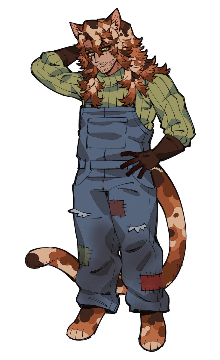 barncat cecil