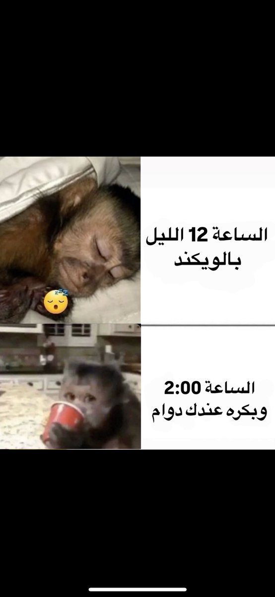 #القادسية