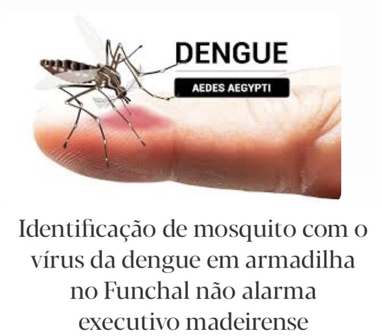 🦟🦠 #AedesAegypti females recently found again infected by #dengue virus in Funchal, Madeira, #Portugal 🇵🇹‼️
#Arboviruses #VectorControl #Mosquitoes
expresso.pt/sociedade/2025…