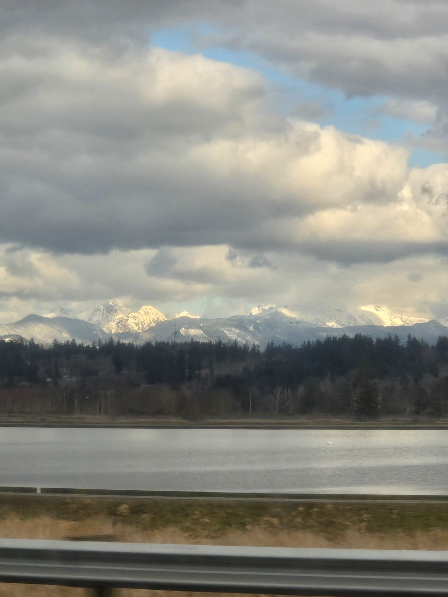 Moving to the pnw still the best decision I've ever made 🥰🥰🥰🥰