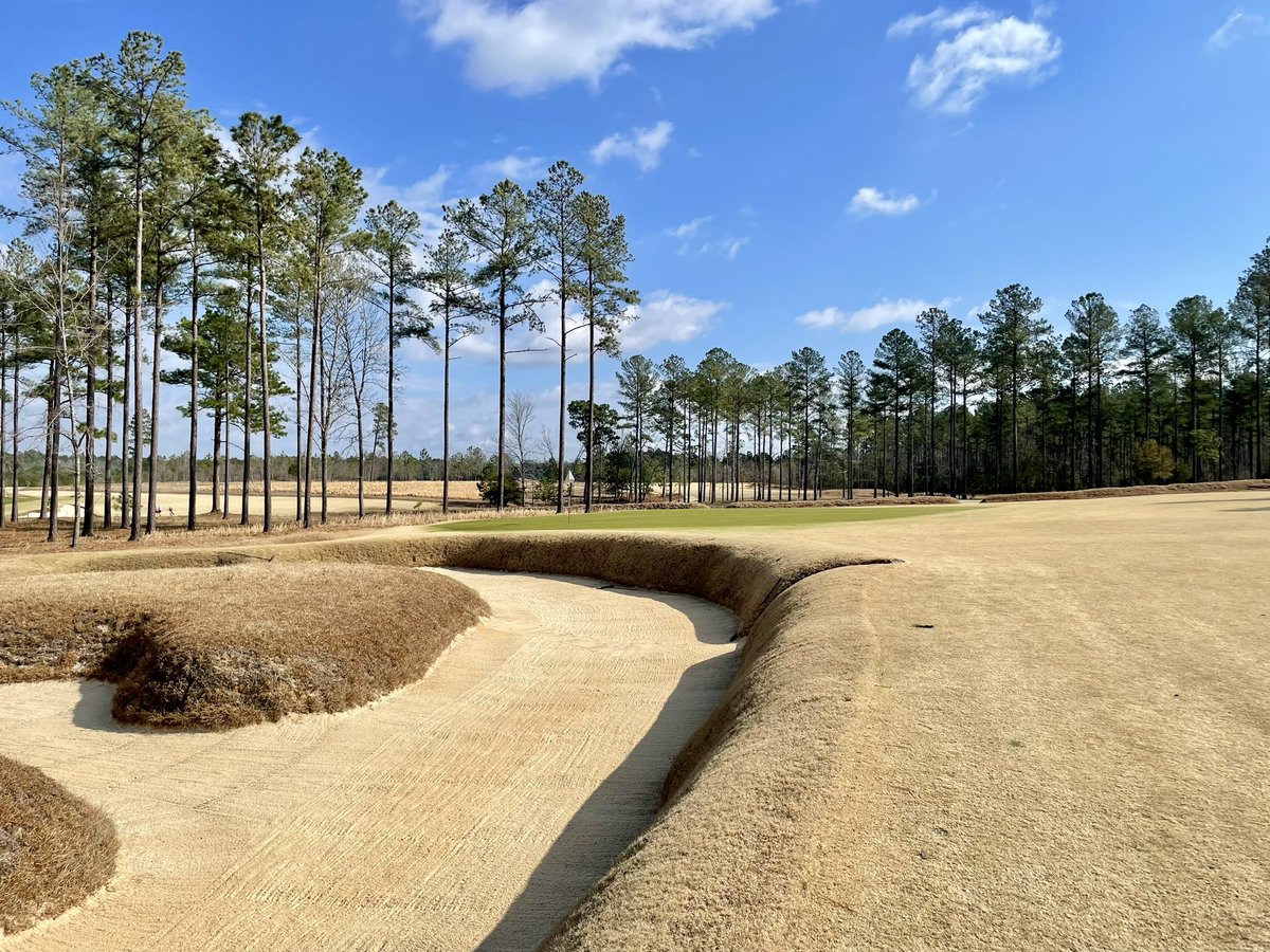The Principal’s Nose (@principals_nose) on Twitter photo Pretty good for February Pretty good for February
