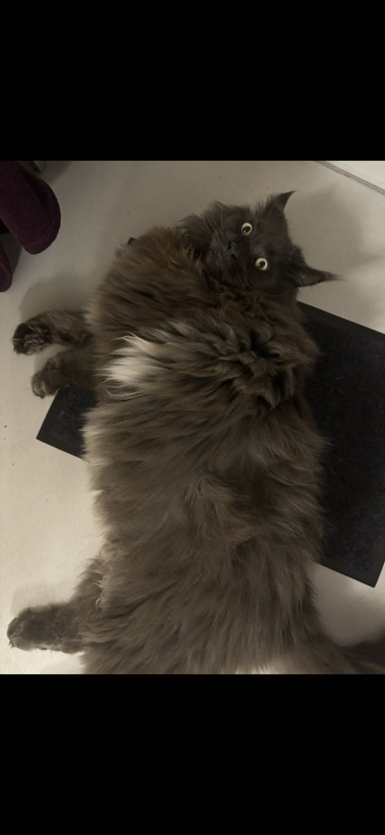 Rose (@natrosesss2003) on Twitter photo 