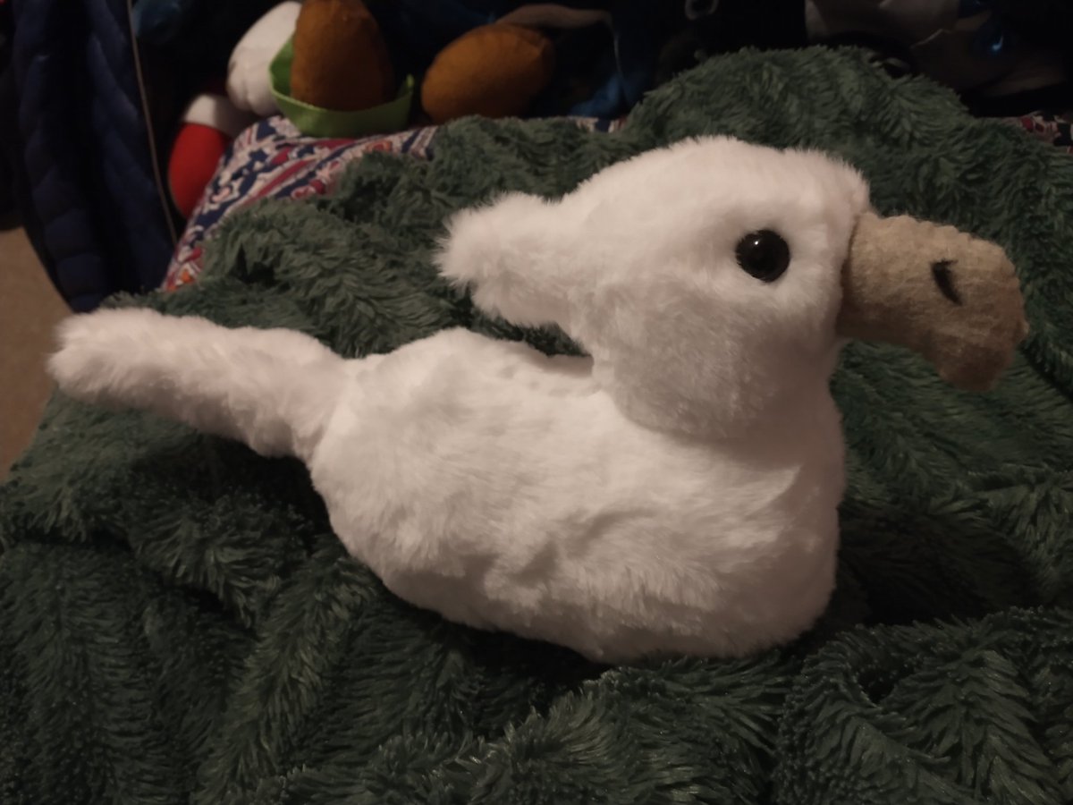 fandomfangirl81's tweet photo. Made a lil baby Seikret plushie for my boyfriend for Valentine's day! He's very excited for wilds so I tried experimenting with a fuzzier fabric type/plastic eyes for this one! Very proud of it even tho it looks a lil too bird #MHWilds #seikret #capcom #MonsterHunter @CapcomUSA_ https://t.co/H5cFMKEWtx
