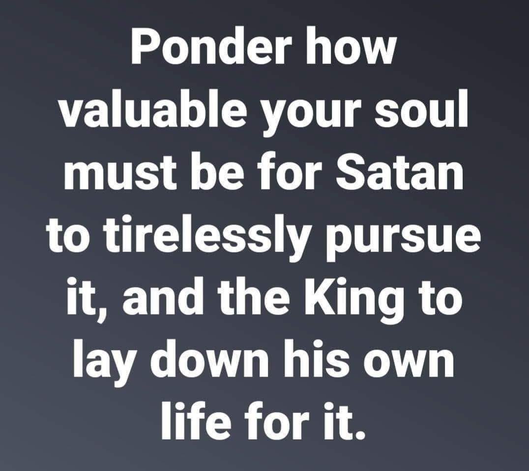 Tim Milner tweet media