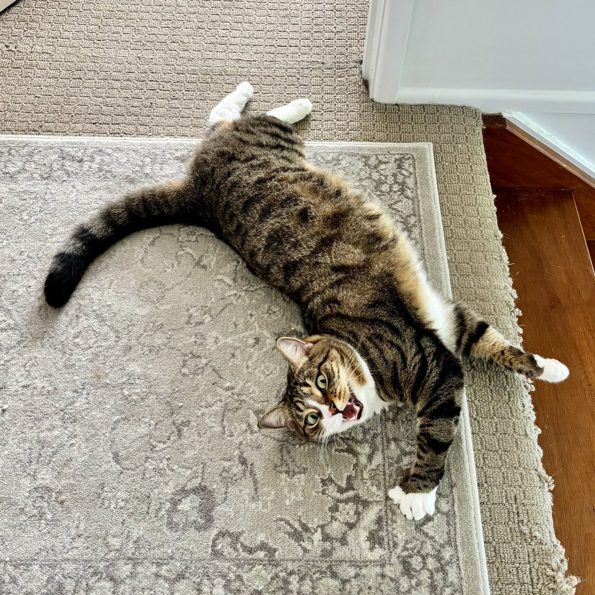 Goooood Morning Friends!!!