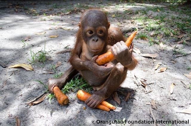 foolnando's tweet image. hummmmm hummm something’s coming over