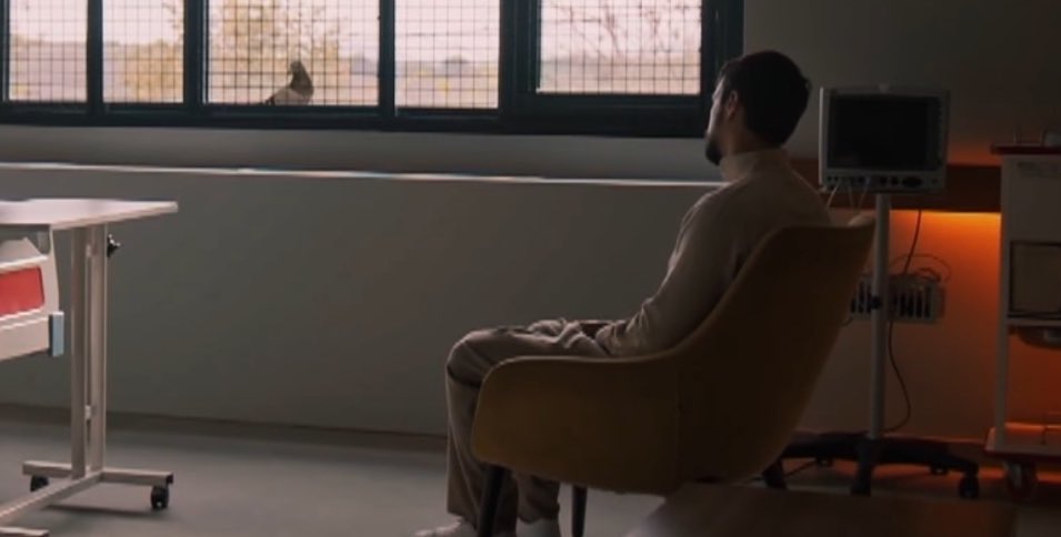 kızıl (yutkunmak) goncalar günü