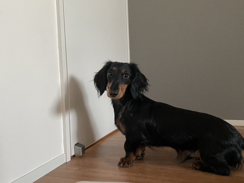 Riku (@x_vwlox) on Twitter photo 