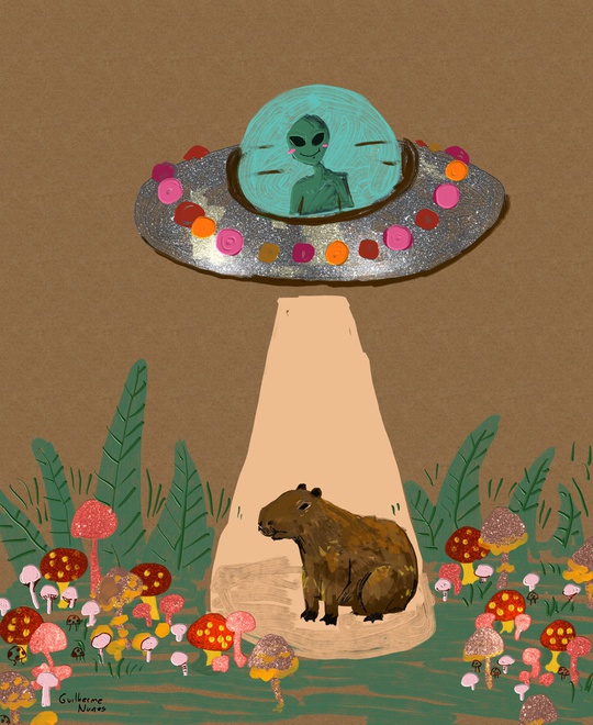 alien abduction of a capybara