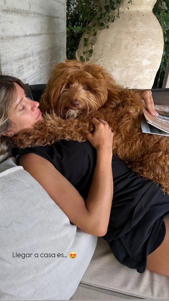 fixmelaufer_'s tweet photo. Reencuentro &amp; abrazo del amor ✨🤍. https://t.co/gFoIu40oGq