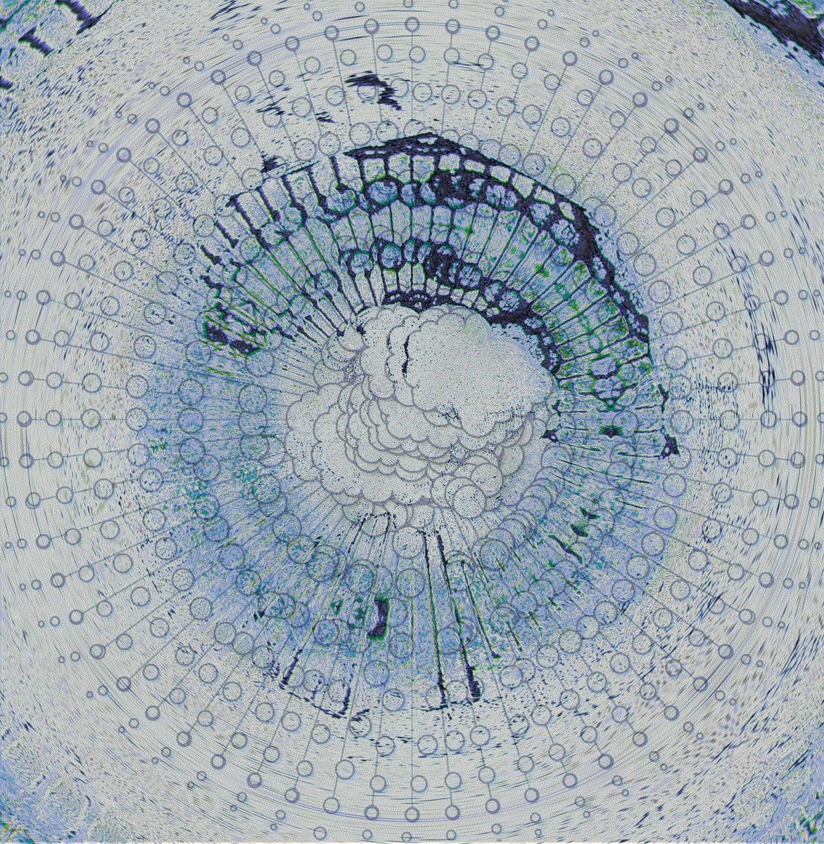 Laura Kerr tweet media