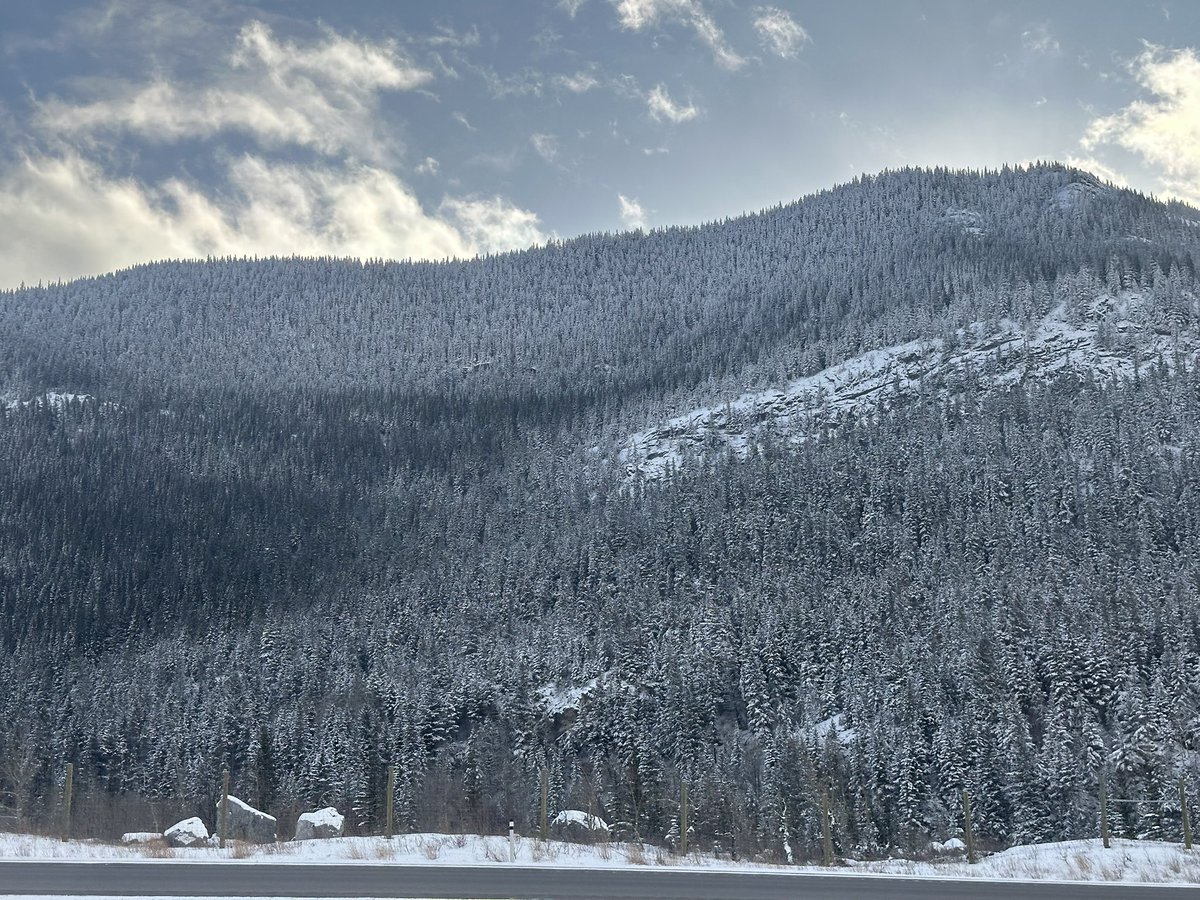 Escaping the USA for a week, arrived in Banff, home of the Alberta Clipper.🇨🇦 Time to ski. About 1000 miles from home. When you type Grand Forks into the GPS up here, Grand Forks BC pops up before it’s ND counterpart😂