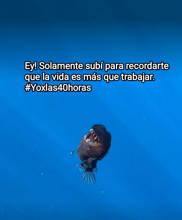 Lo que nos enseña el pez abisal