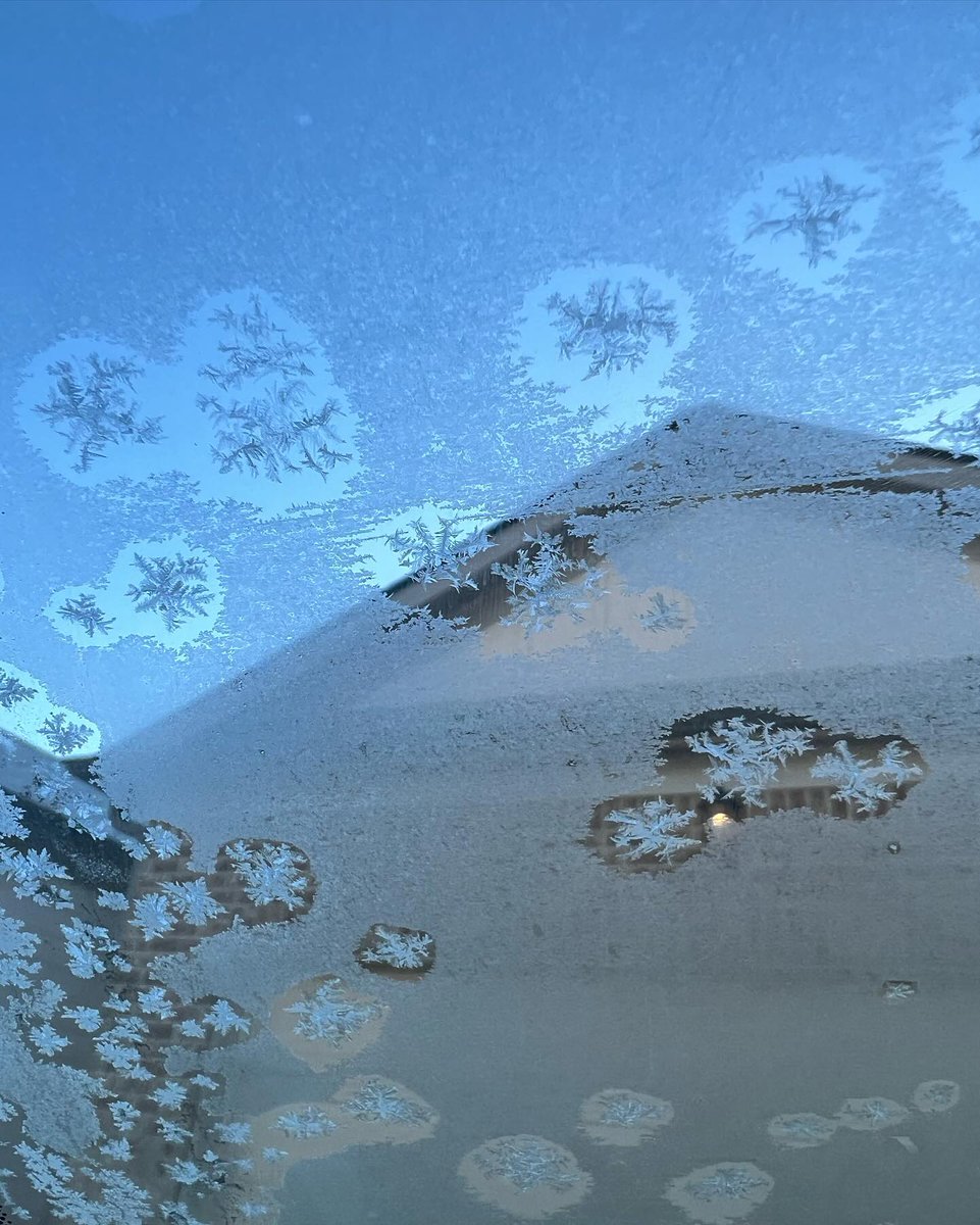 Nature’s delicate art, falling softly to remind us how beautiful impermanence can be. ❄️🌨️