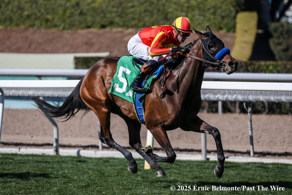 Ernie_Belmonte's tweet photo. Casalu takes the Sweet Life under Flavien Prat for Hall of Fame trainer Bob Baffert. https://t.co/0IDj4v8Vgy