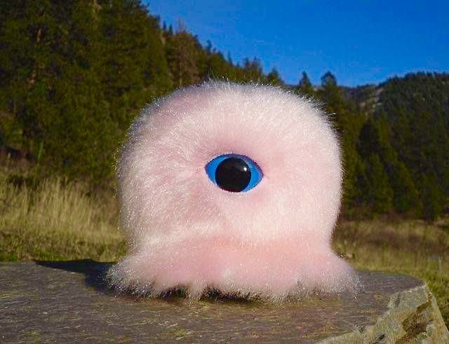 🤖𝐖E𝐈R𝗗 ⵊ𝐍T𝐄𝐑𝖭𝐄T 𝐆𐌏𐌏𝐁𝖤𝐑S🌞 tweet media