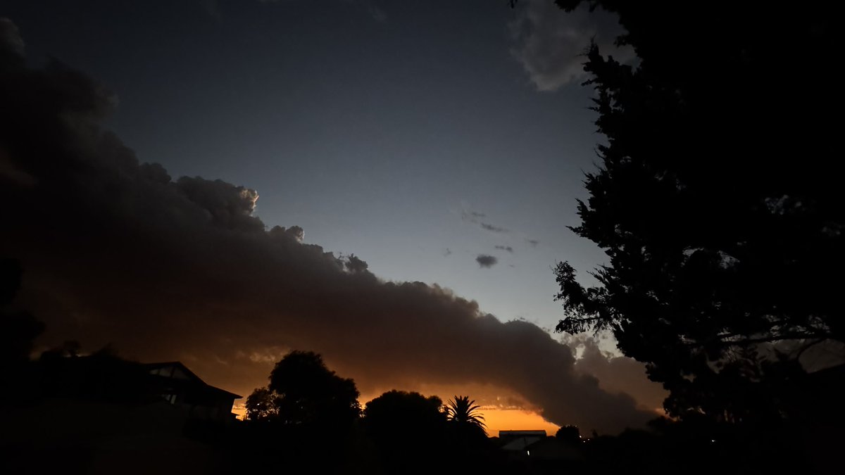 Brought a house in town. 
*1st day, got a snake in one of the courtyards..”thank god I’m a country girl!” 
*Silver eye hanging out. 
*Indoor views from dining to kitchen. *Smokey evening views.