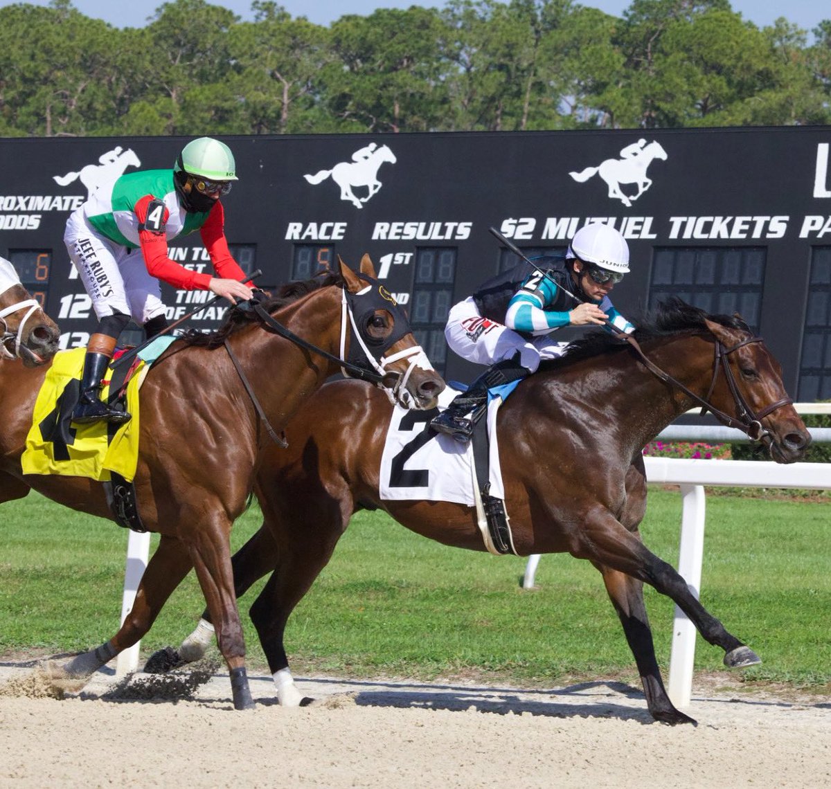 🏆 NUTELLA FELLA
(Junior Alvarado - Gary Contessa)
PELICAN STAKES 2025 ($125,000) Tampa Bay Downs <a href="/TampaBayDownsFL/">Tampa Bay Downs Official Account</a> <a href="/JuniorandKellyA/">Junior and Kelly Alvarado</a> <a href="/GaryContessa/">Gary Contessa</a> <a href="/BellGableStable/">Bell Gable Stable</a> <a href="/AshviewFarm/">Ashview Farm</a> 
📷 <a href="/tampabaydowns/">TAM Fan</a>