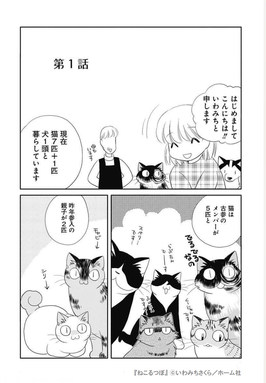 ねこねこ横丁 على X: 