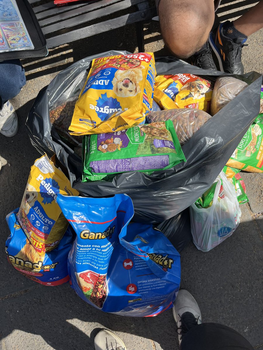 Pokémon GO GDL tweet media