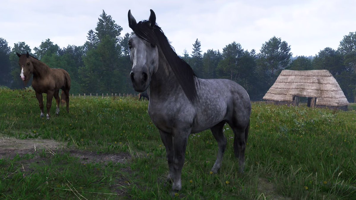 Luke Dale tweet media