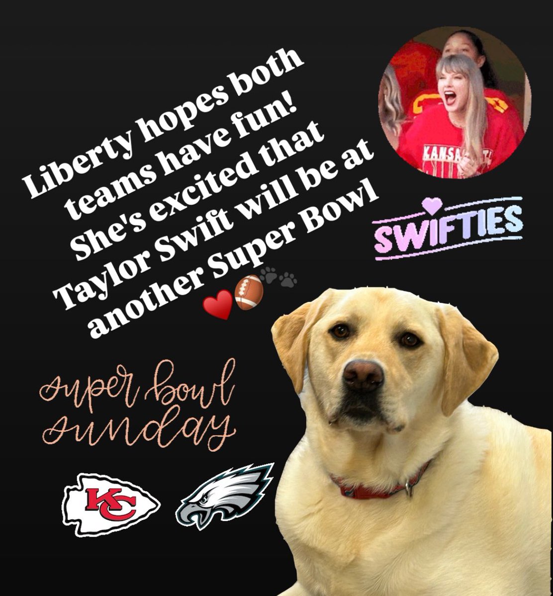 LibertyConcord's tweet photo. Liberty hopes both teams have fun! She’s excited that Taylor Swift will be at another Super Bowl ♥️🏈🐾 https://t.co/8LR9CfsGyD
