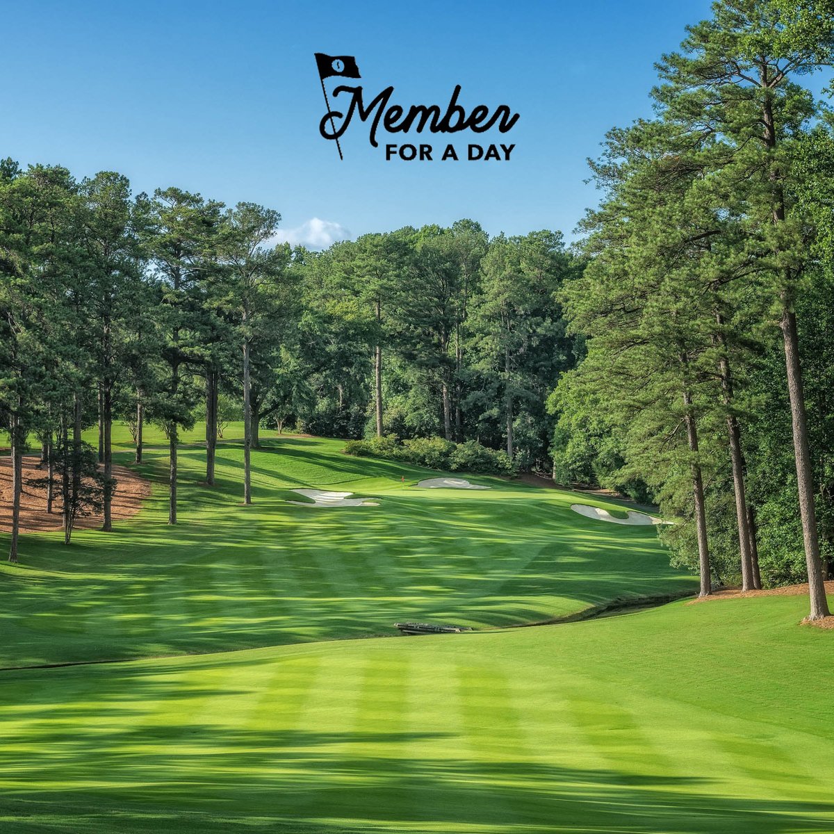 elevation_golf's tweet photo. SILENT AUCTION | FOUNDATION DINNER EVENT - https://t.co/vg0GMea2Nc https://t.co/c0mzAijT2z