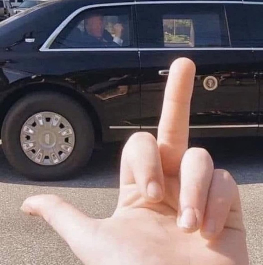 another one just too annoy the trumpies ❤️