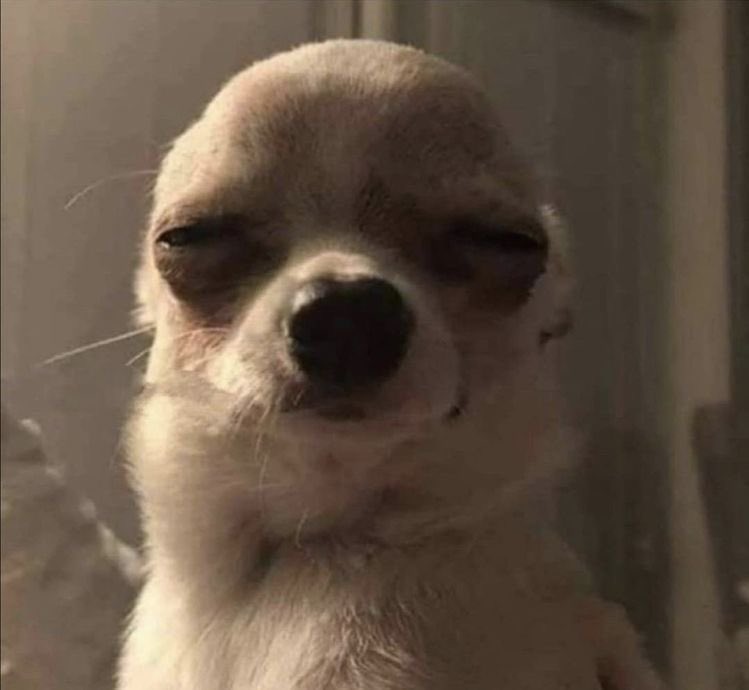 This SuperBowl intro with Tom Cruise feels like Scientology…and I can’t explain it