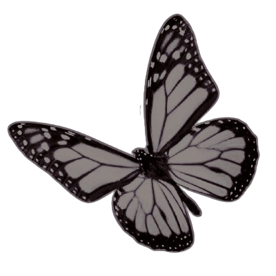 BLOODTPE's tweet photo. ᅟ ִ    ׂ    ✧ᅟ   CAREFULᅟ  MYᅟ  𝐁͟𝐋͟𝐎͟𝐎͟𝐃ᅟ  BITESᅟᅟ ꯭  ᅟ  BA ⃝CKᅟ https://t.co/y1qlBHvijR