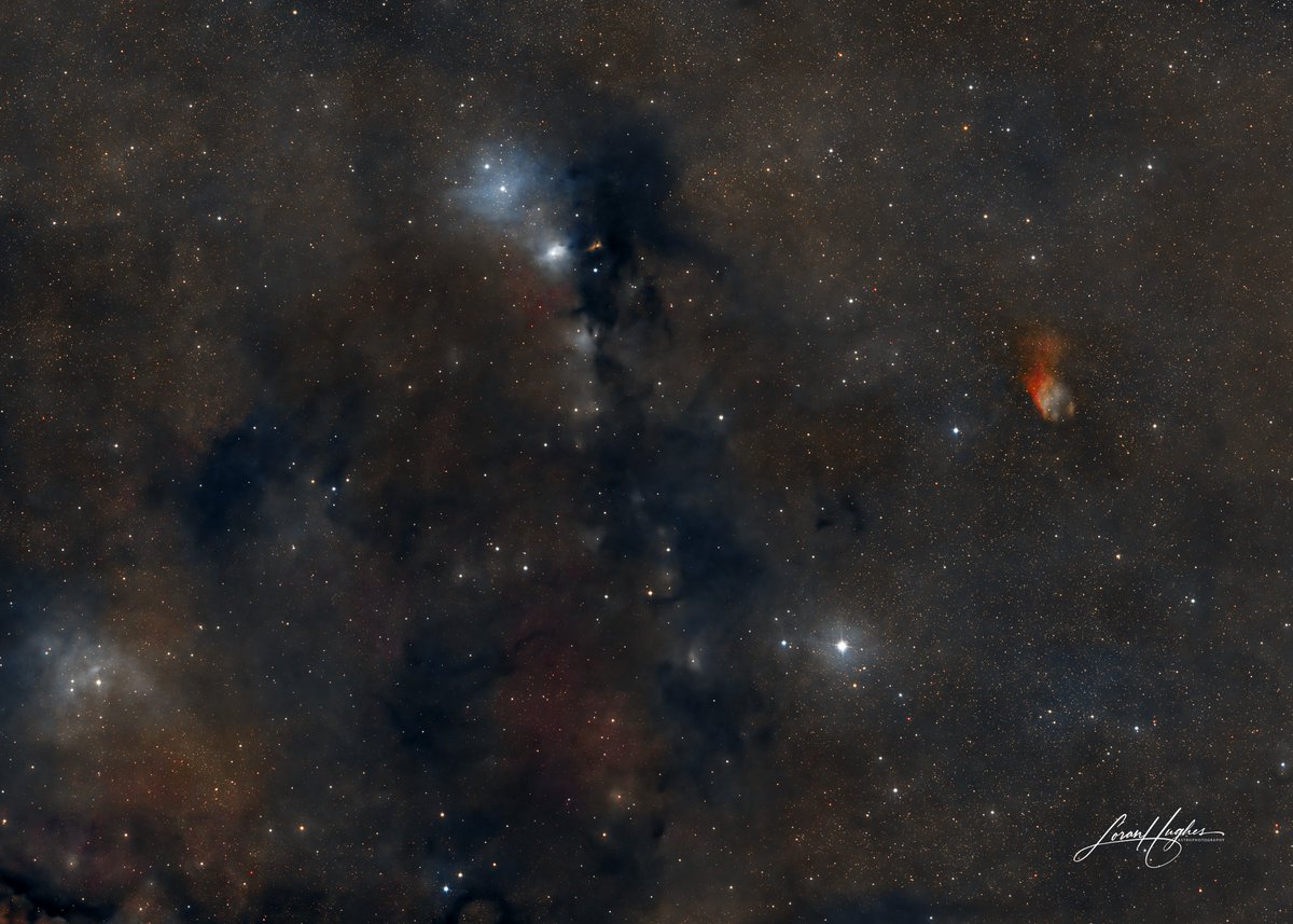 The Serpens Molecular Cloud, with the reflection nebula vdB 123 at the top-center and the Flaming Skull (planetary) nebula on the right. This was imaged as a 2-panel mosaic with the 8-inch RASA in 2023. #astrophotography #astronomy