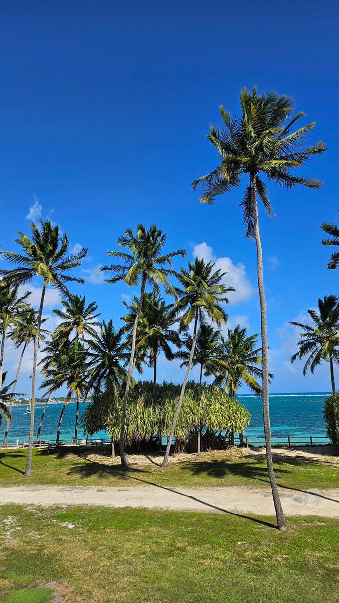 Petit coucou à #NFLEXTRA <a href="/nflextra/">NFLextra</a> <a href="/LioButon/">LIONEL BUTON</a> depuis un spot pas mal pour suivre le #SuperBowl