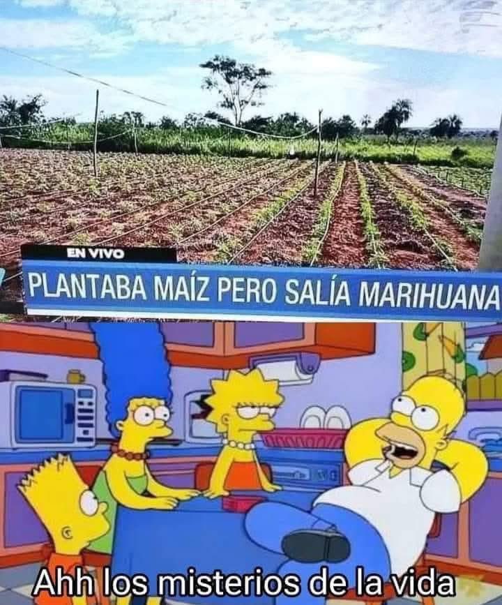 q distraído