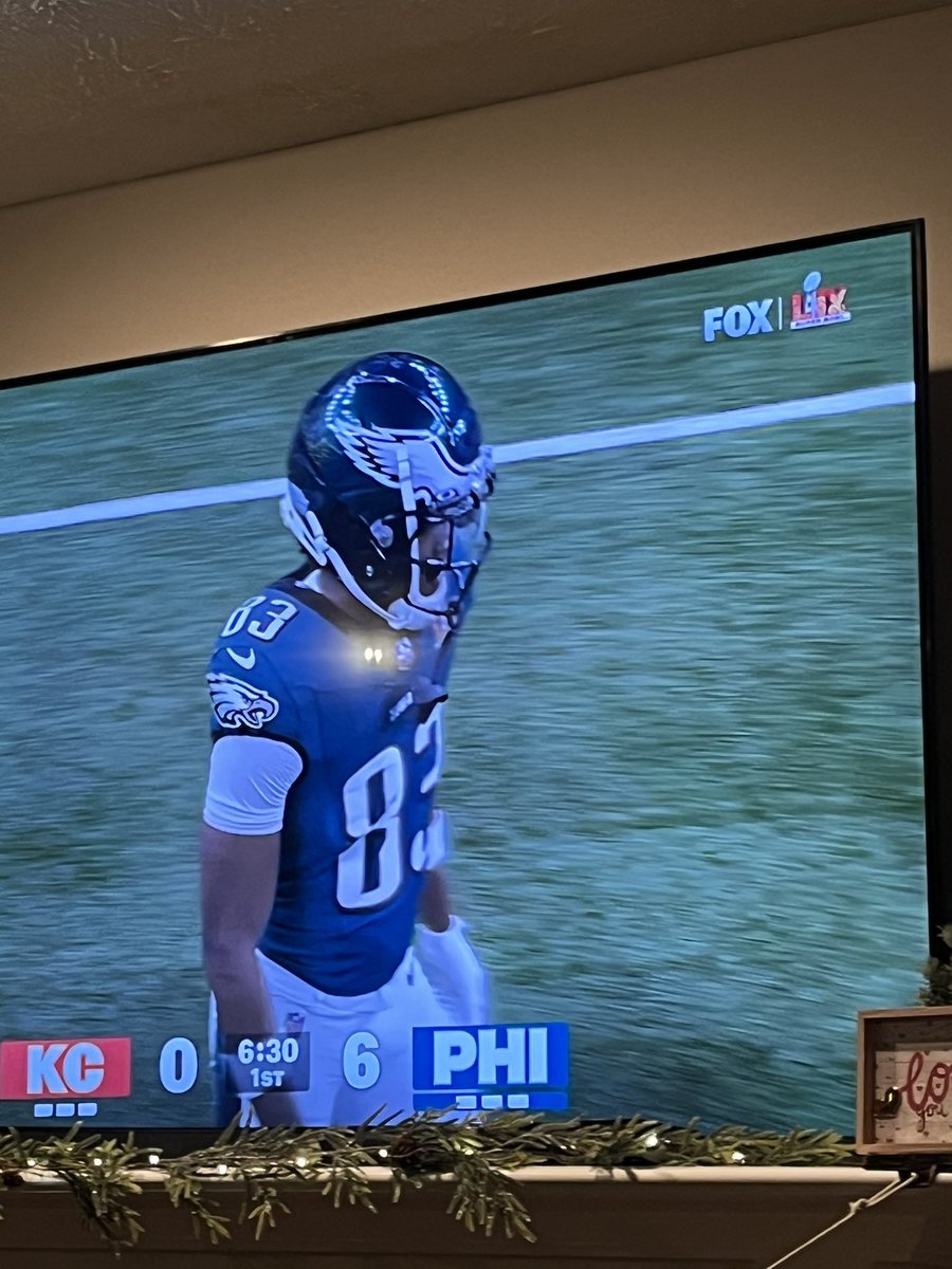 Fly Eagles Fly! 🏈 🦅