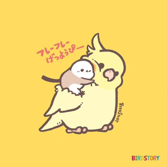おはようございます。本日は2月10日、語呂合わせから、ふとんの日とのことですお布団が愛おしい週のはじまり月曜日気分が重いところですが、ゆっくり頑張っていきたいと思います#BIRDSTORY #ふとんの日 #コンパニオンバードチアリーダーズ #オカメインコ #シマエナガ 