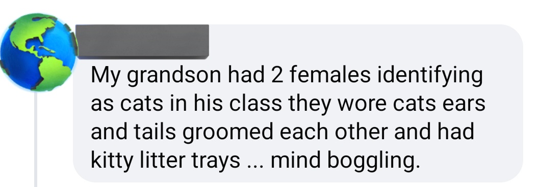 LilahRPGtt's tweet photo. "My grandson has two kids that identify as cats in his class"

Have you considered your grand kids might be fucking with you because they think it's funny that you're so gullible. Or are they like 6 years old having fun with imagination. When I was 6, I'd pretend to be a wizard. https://t.co/33Ow3bn60P