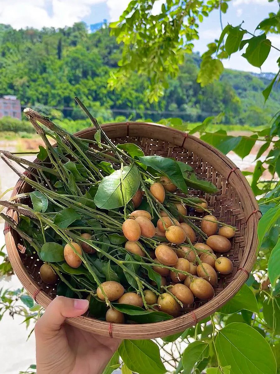 自然をたくさん見て、楽しい気持ちになりましょう🌿💚