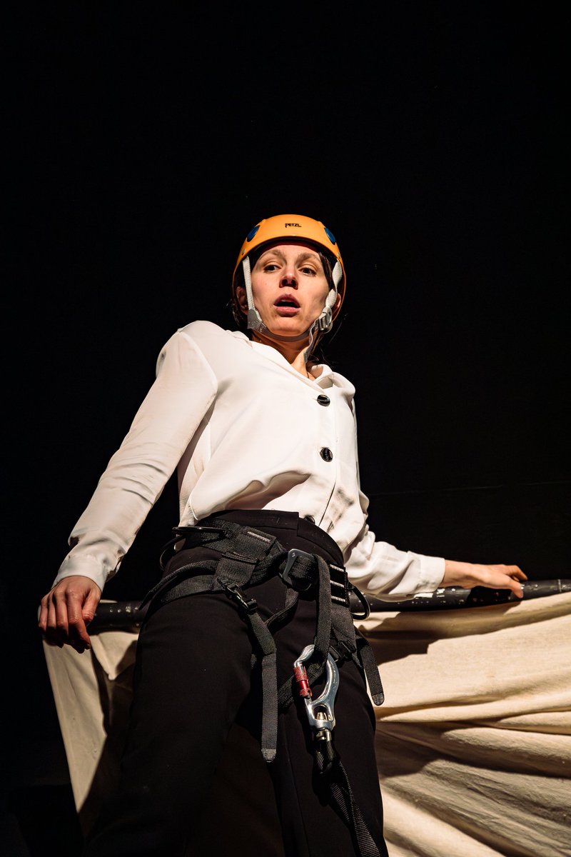 Wild Bears Photography tweet media