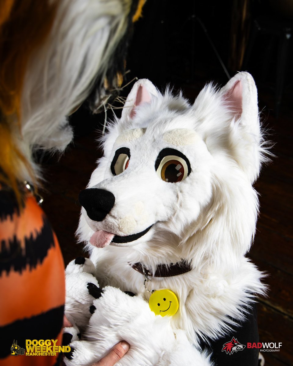 KUTPUPPY (@puplukeske) on Twitter photo When he looks at you like that 🥹🐶
🐯: <a href="/Darkstripes1/">Darkstripe</a>
📸: <a href="/BadWolfPhotos/">Bad Wolf Photography</a>
📍: <a href="/doggyweekend/">DoggyWeekendUK</a> When he looks at you like that 🥹🐶
🐯: <a href="/Darkstripes1/">Darkstripe</a>
📸: <a href="/BadWolfPhotos/">Bad Wolf Photography</a>
📍: <a href="/doggyweekend/">DoggyWeekendUK</a>