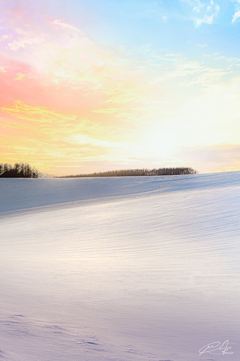 Mitsu_kurimru's tweet image. 自分は運のいい人間だと思います

子供の頃に障害者になりました。大きな病気もしました。それでも自分は運のいい人間だと思っています

好きな写真を撮ることができて、大金とはいえないけど食べていけるだけの仕事に就けて、帰って休める部屋があって、今生きています

やっぱり僕は運のいい人間です