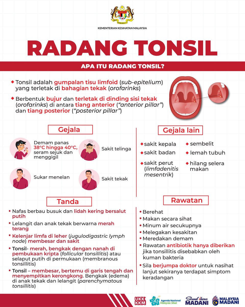 KKMPutrajaya's tweet photo. Tonsil adalah kelenjar yang bekerja seperti askar untuk memerangi infeksi di tubuh. Ia terletak di tepi sebelah belakang tekak. 

Ketahui apakah yang menyebabkan radang tonsil dan rawatan yang boleh dilakukakan ke atas pesakit sebagai langkah pencegahan.

#KKMPrihatin
#MalaysiaSihat
#IhsanMADANI
#SkuadIhsanMADANI
#TaatSetia
#HarungiBersama